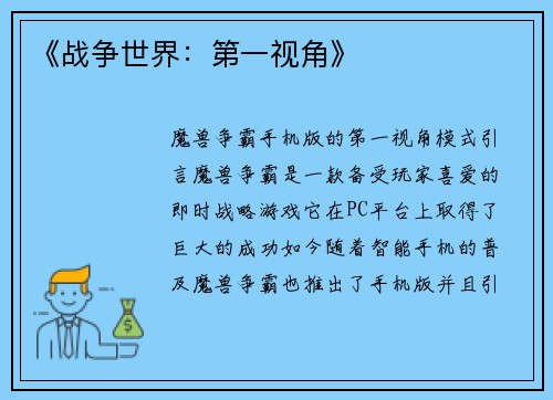 《战争世界：第一视角》